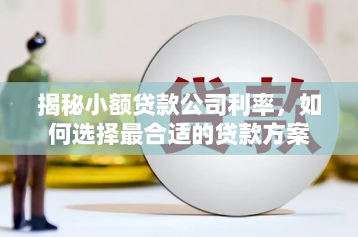 高要揭秘小额贷款公司利率，如何选择最合适的贷款方案