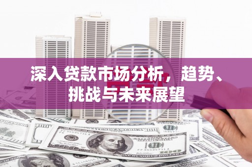 壤塘深入贷款市场分析，趋势、挑战与未来展望