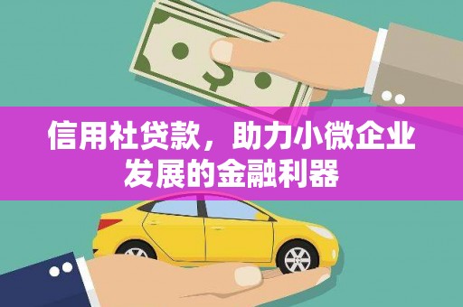卢氏信用社贷款，助力小微企业发展的金融利器