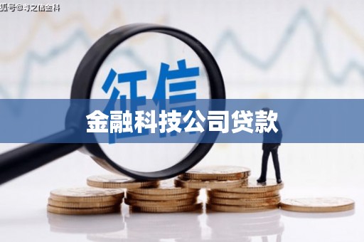 罗江金融科技公司贷款