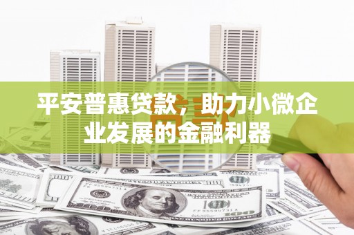 拉萨平安普惠贷款，助力小微企业发展的金融利器