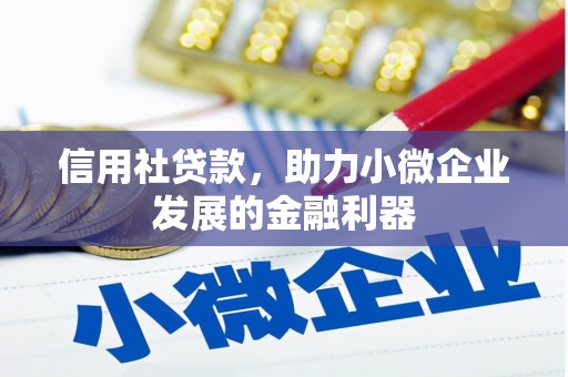 纳雍信用社贷款，助力小微企业发展的金融利器