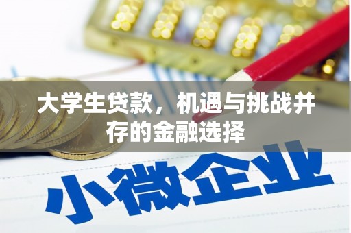 卢氏大学生贷款，机遇与挑战并存的金融选择