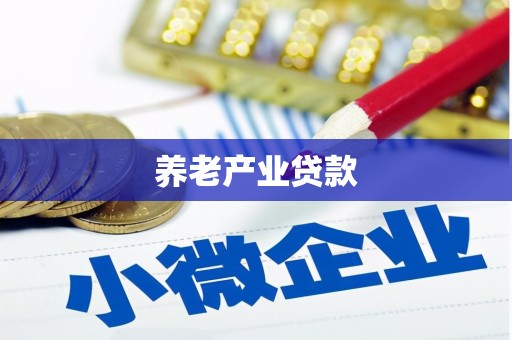 壤塘养老产业贷款