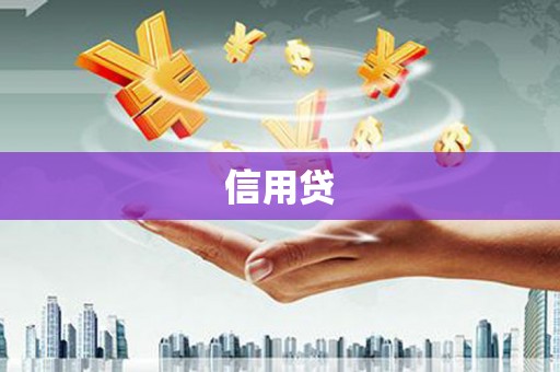 隆安信用贷