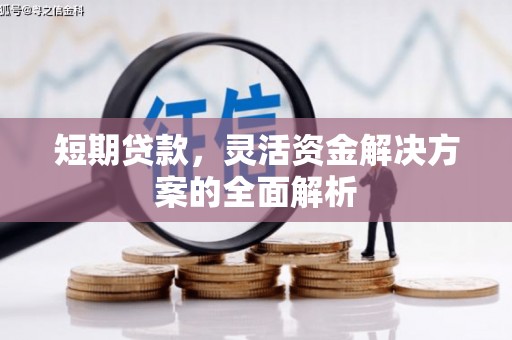 隆安短期贷款，灵活资金解决方案的全面解析
