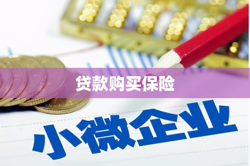 宁乡贷款购买保险