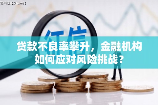 惠城贷款不良率攀升，金融机构如何应对风险挑战？