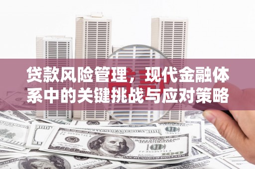 凤城贷款风险管理，现代金融体系中的关键挑战与应对策略