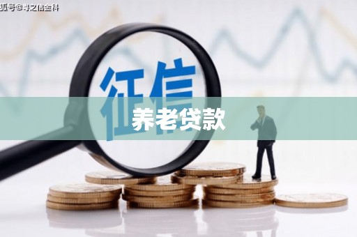 凤城养老贷款