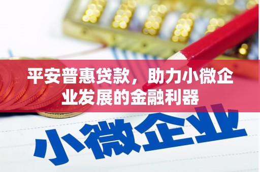凤城平安普惠贷款，助力小微企业发展的金融利器