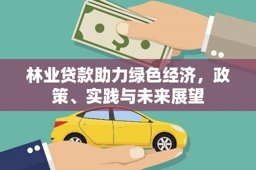 南和林业贷款助力绿色经济，政策、实践与未来展望