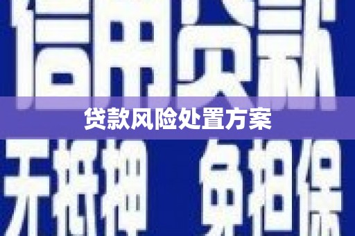 孝南贷款风险处置方案