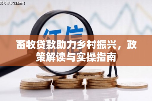 孝南畜牧贷款助力乡村振兴，政策解读与实操指南