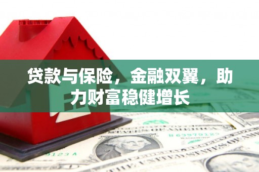 隆安贷款与保险，金融双翼，助力财富稳健增长