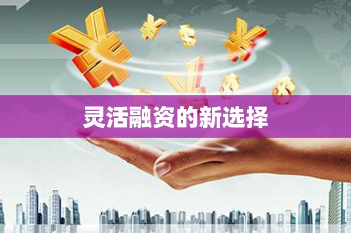 东坡灵活融资的新选择