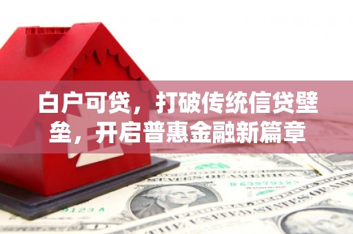 环县白户可贷，打破传统信贷壁垒，开启普惠金融新篇章
