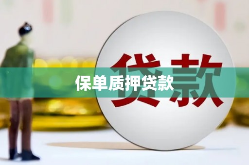 孝感保单质押贷款