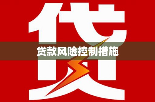 朴子贷款风险控制措施