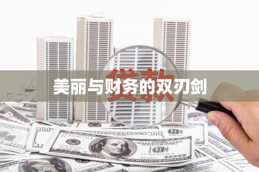 板芙美丽与财务的双刃剑