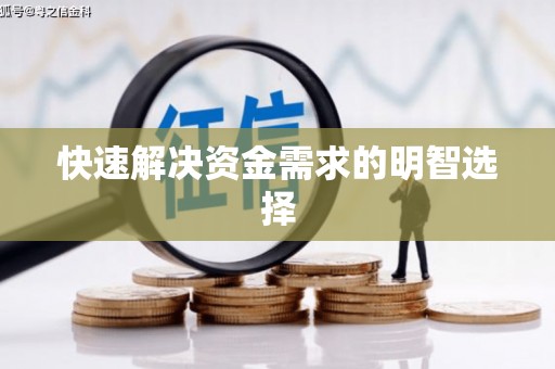 板芙快速解决资金需求的明智选择