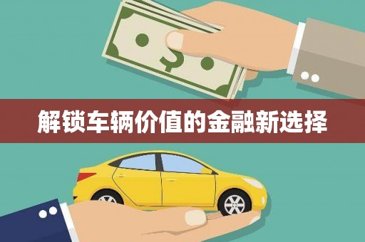 贡嘎解锁车辆价值的金融新选择