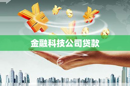 岳麓金融科技公司贷款