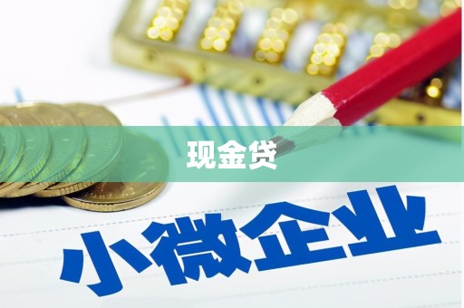 湛河现金贷