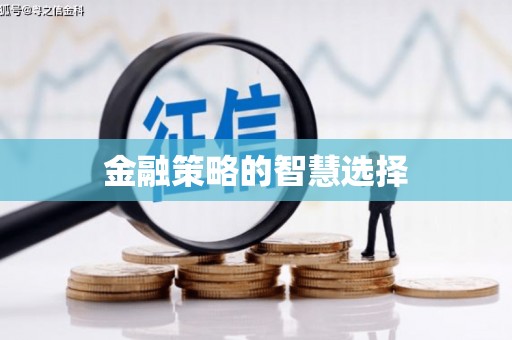寿丰金融策略的智慧选择