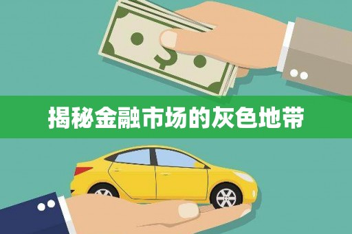 山丹揭秘金融市场的灰色地带