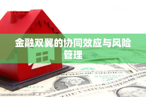 望花金融双翼的协同效应与风险管理