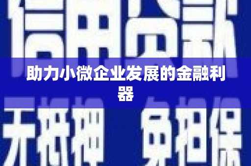 望花助力小微企业发展的金融利器
