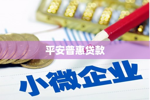佳县平安普惠贷款