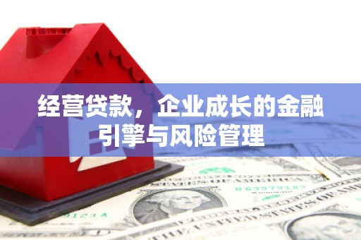 庐阳经营贷款，企业成长的金融引擎与风险管理