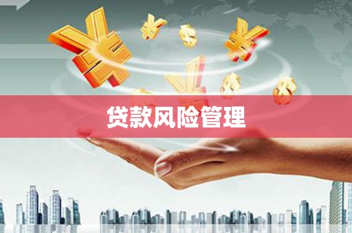 双流贷款风险管理