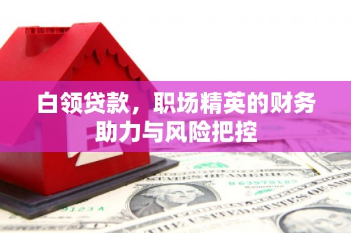鹿城白领贷款，职场精英的财务助力与风险把控
