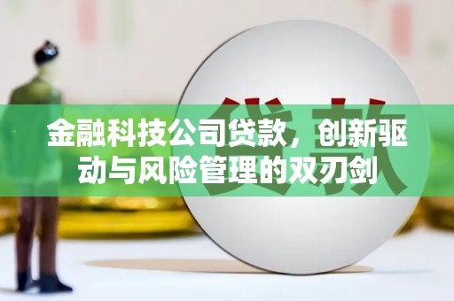 鲅鱼圈金融科技公司贷款，创新驱动与风险管理的双刃剑